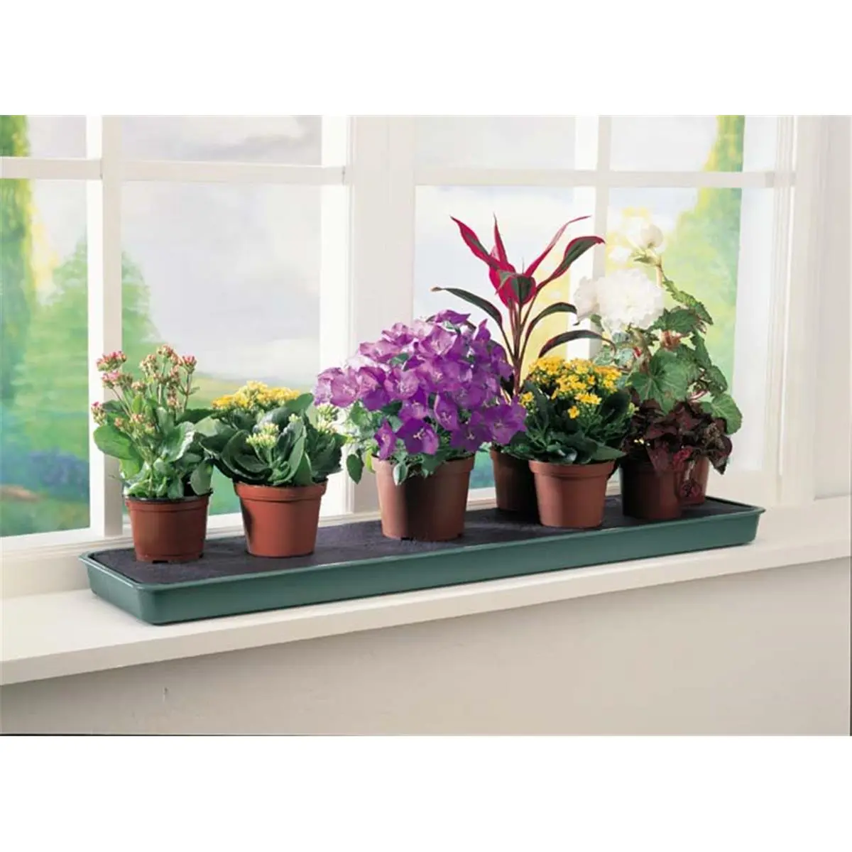 Windowsill Plant Tray Windowsill Plant Tray