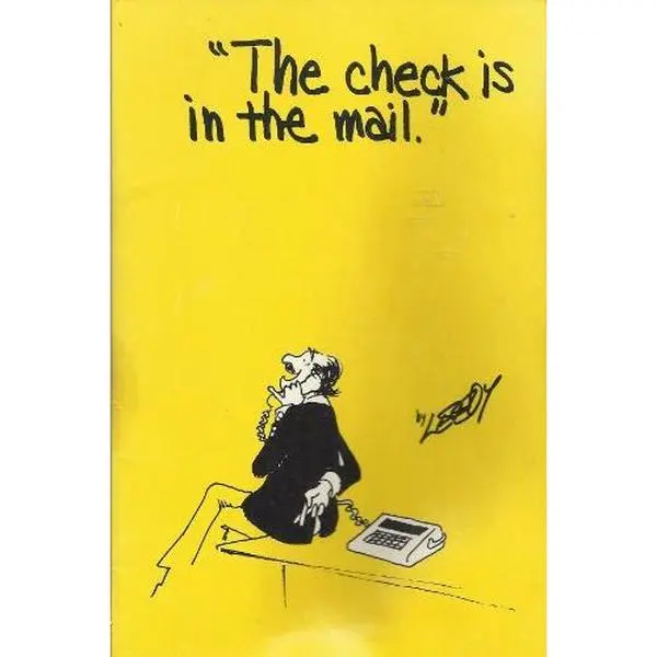 USED-The Check Is in the Mail by Jeff Leedy (Paperback)