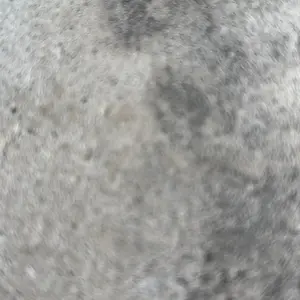 review image 6