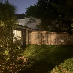 review image 7