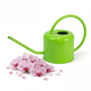 Plexon Long Spout Watering Can Indoor Plants, 40 oz Small Watering Can Pot Metal for Garden Flowers House Plants Mini, Powder Coated, for Mom Girlfriend Daughter, Green