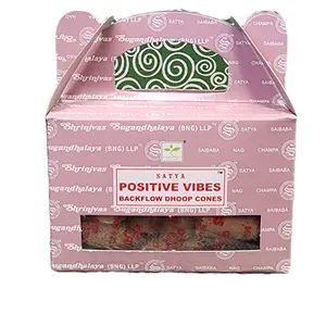 Back Flow incense cones -HEM, Satya, and Kamini brands - 24 cones per pack - Scented