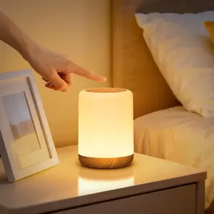 NUPOSTAI LED Bedside Night Lights with Timer & Memory Function - 256 RGB Dimmable,Brightness Adjustable,Touch-Controlled,USB Rechargeable,Eye-Friendly Sleep Lights for Baby Kids Bedroom Adults Pregnant Home Breastfeeding Gifts Christmas Birthday