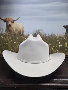 Potrero 30x Sinaloa Texana Wool Felt Hat - Beige