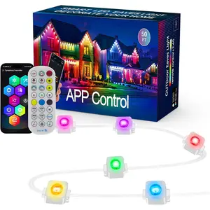 Permanent Outdoor Lights RGB Christmas Light IP67 Waterproof Smart App Control Remote, DIY Scene Modes,Music Synchronization, Eaves Lights for Garden Decor, Party,Halloween,Roof,Patio Lighting patio  lights