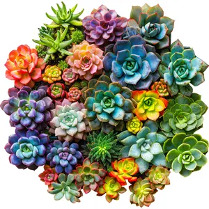 Selected Gifts for Mother's Day Delobil Premium Thick Puzzles for Adults with Puzzle Saver, Unique Adult Jigsaw Puzzles, Brain Teaser Family Game Gift, Leisure Time Fun Challenge & Stress Relief-Succulent Planet-200pcs