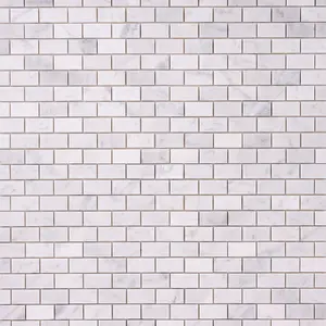 Carrara White 1×2 Mosaic Polished/Honed Marble Tile