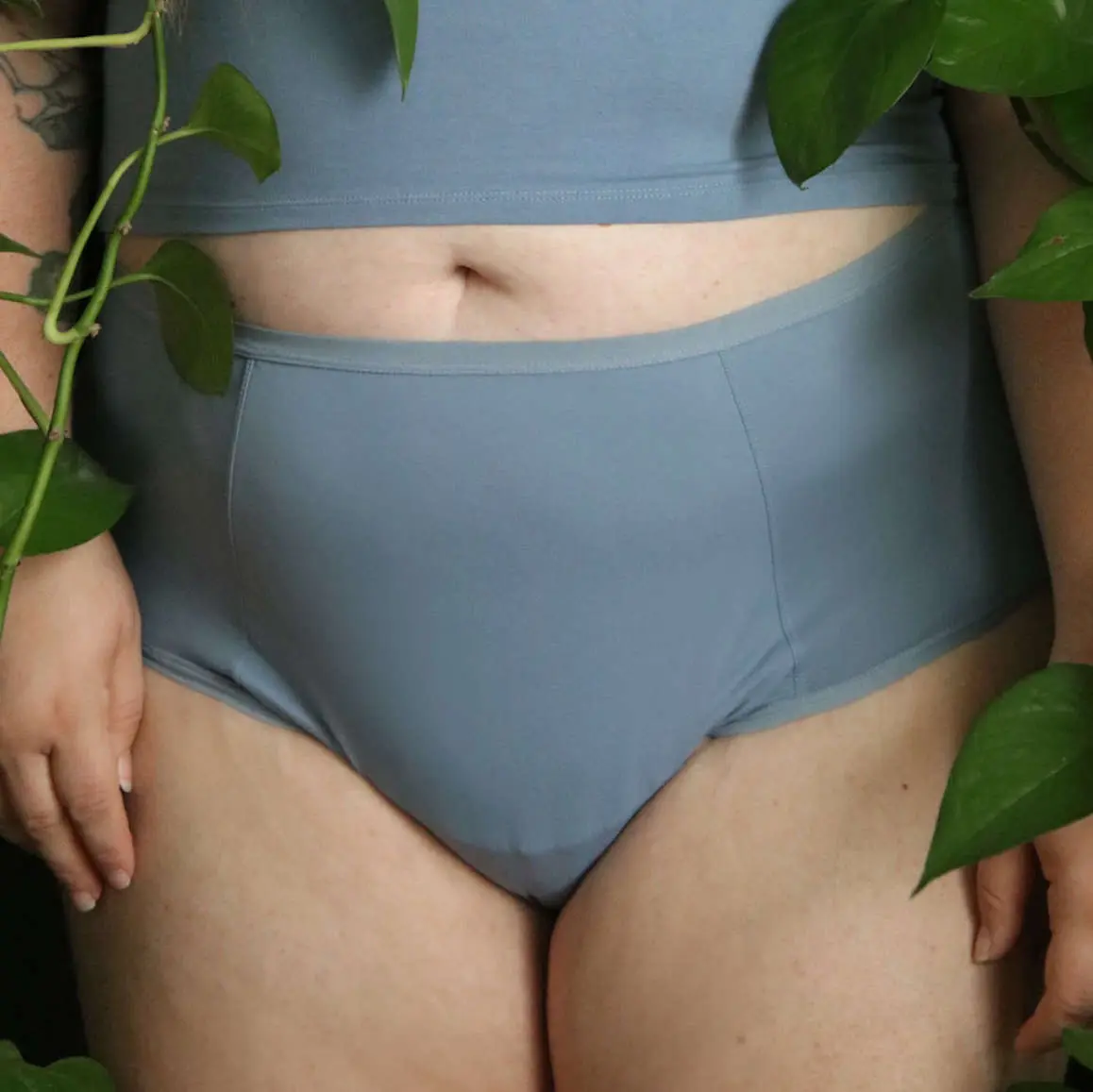 High Waist Brief
