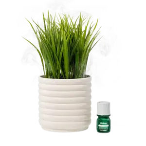 Lifelines Plant Diffuser | Grass Plant Bubble White