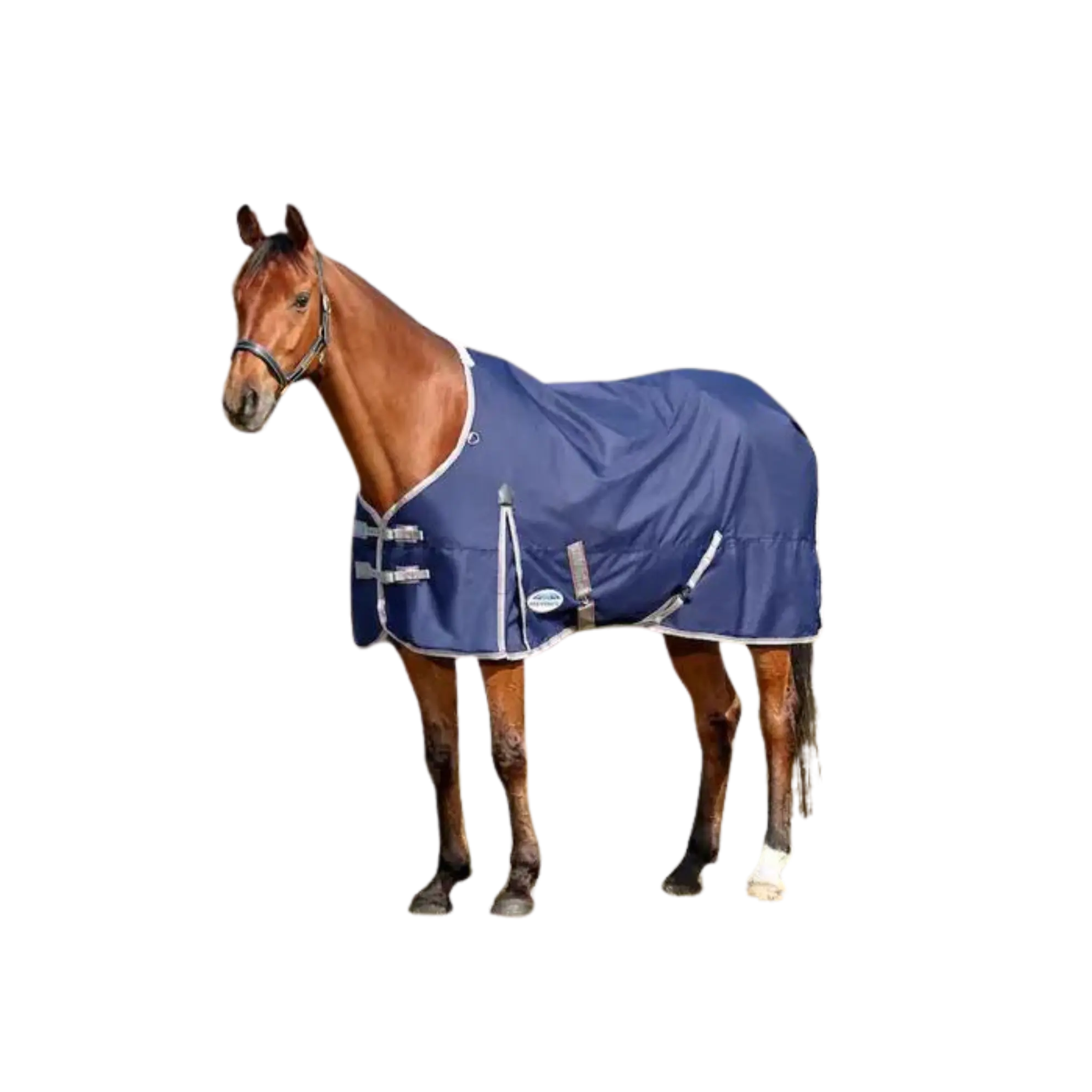 WEATHERBEETA COMFITEC ESSENTIAL STANDARD NECK LITE TURNOUT SHEET