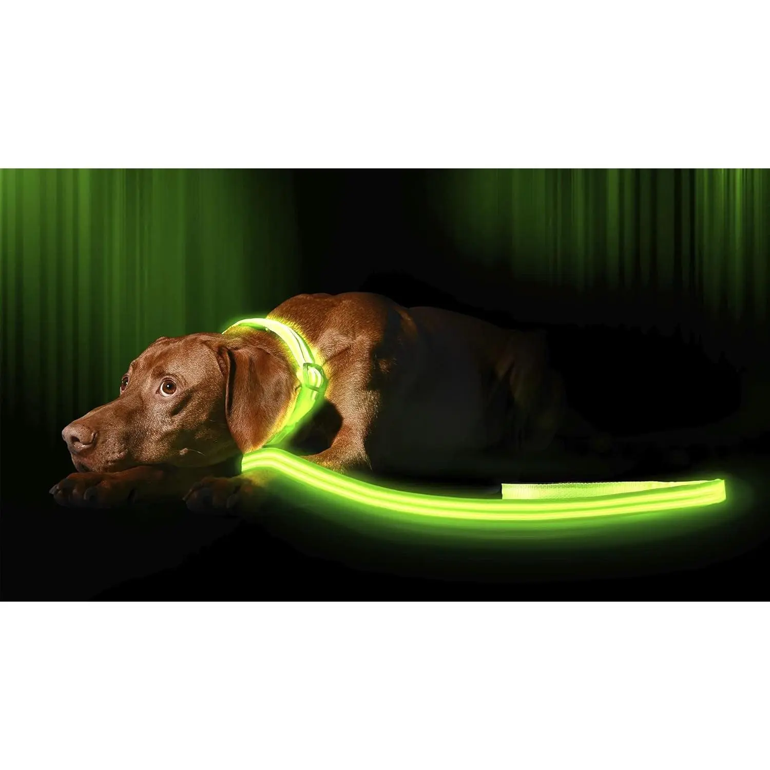 LED Light up Dog Leash | Ultra High Visibility up to 350 Yards | 3 Lighting Modes | USB Rechargeable, No Batteries Needed | Padded Handle & Rotating Swivel Clasp to Prevent Leash Tangling
