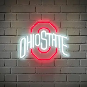 ​Wall-Mounted Team Logo Neon – USB Powered Dimmable Acrylic Wall Light for Sports Bars, Fan Caves, Lounges & Party Decor