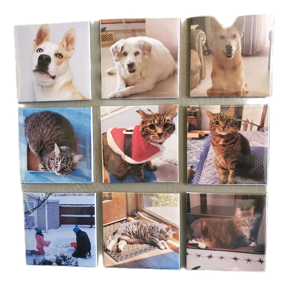 Custom Photo Magnet 2x2 Set of 9 Personalized Images for Decorative Use Easy Setup No Hassle Beautiful Memories