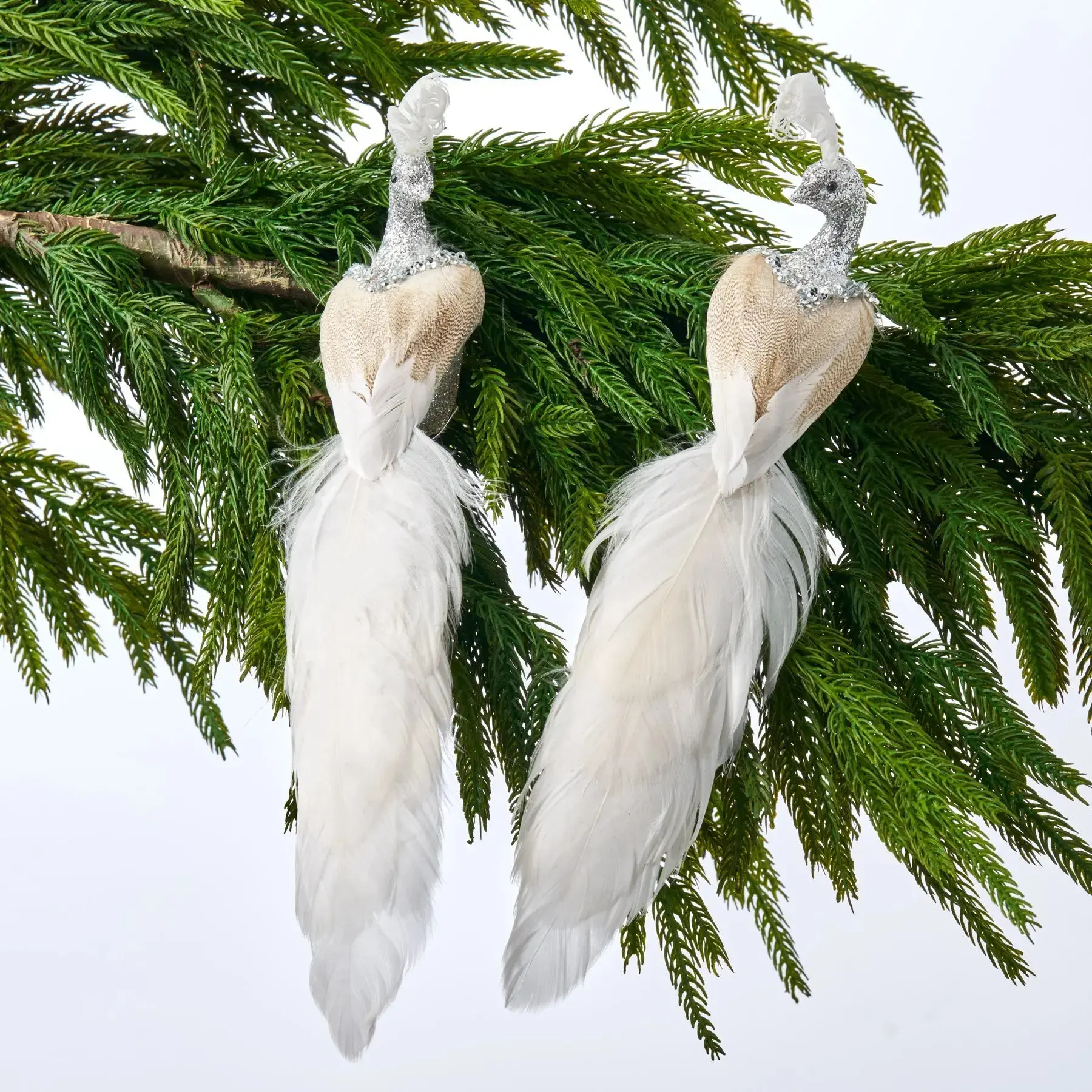 Imported Silver & White Glitter Peacock Feathered Clip-On Bird Ornaments (Set of 2) - 11x2 in, Handmade, Clip-On Easy Install, Secure Fasteners, Tissue Wrap, Holiday Christmas Tree Home Party Decor, Detailed Craftsmanship