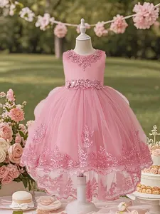 Flower Embroidery Design Princess Dress, Elegant Chiffon Round Neck Sleeveless Dress for Party Wedding Guest, Kids Clothes for Summer, Floral Pattern Dress