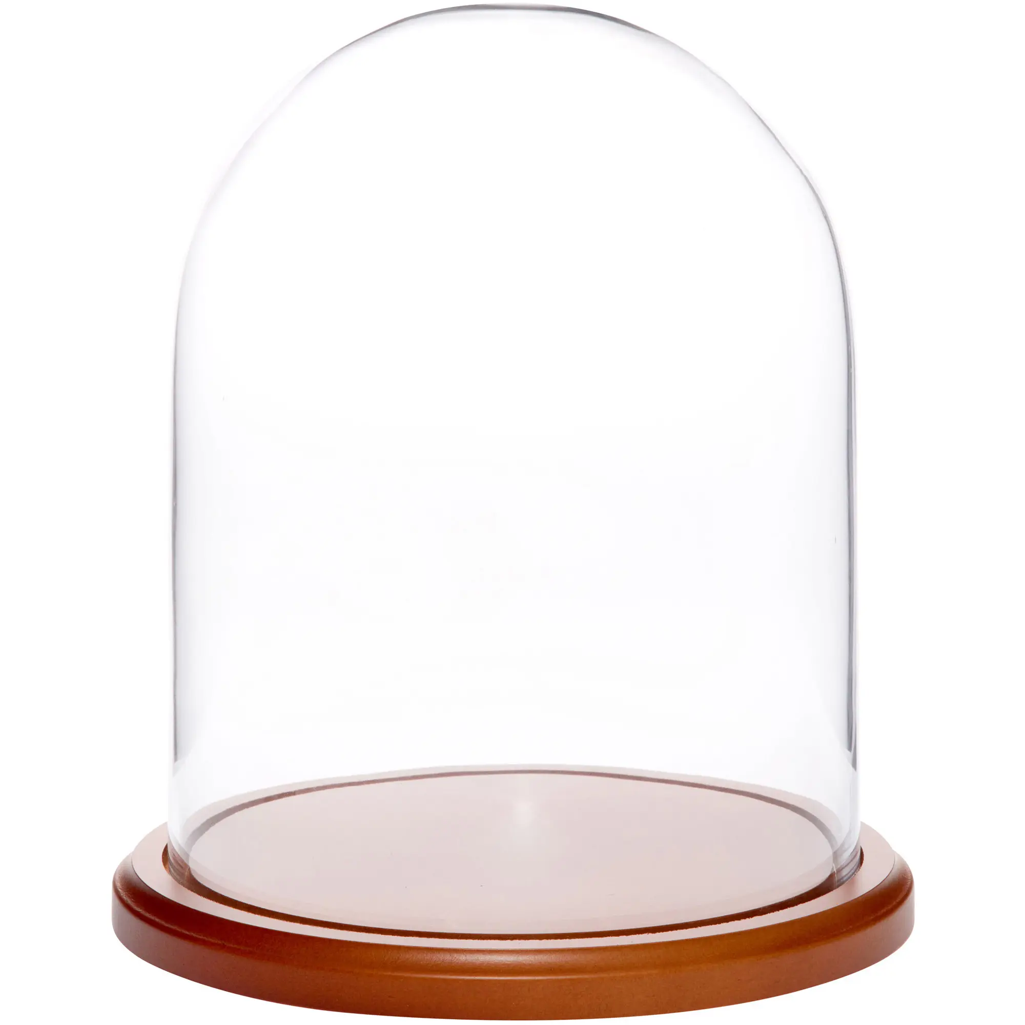 Plymor 8" x 10.25" Glass Display Dome Cloche