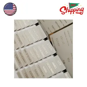 Laminated Bible Tabs with Book Summaries(Gold Foil Embossed Lettering)