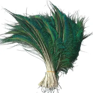 Peacock Sword Feathers 10-15 Inches for Wedding  Decoration Pcak of 30