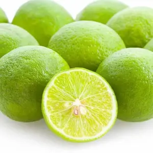 Grafted Key Lime-Limequat Live Citrus Tree, 3-4 ft Tall, 3 gal, Florida Only, Cooking Essential for Homemade Sauces