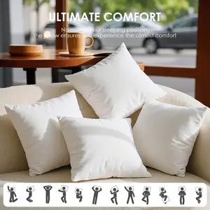2 Piece Throw Pillow Set 18x18, Decorative Square Pillows with Premium Stain-Resistant White Satin Fabric, Fluffy 250GSM Insert Couch Pillows for Sofa, Bed & Living Room Decor