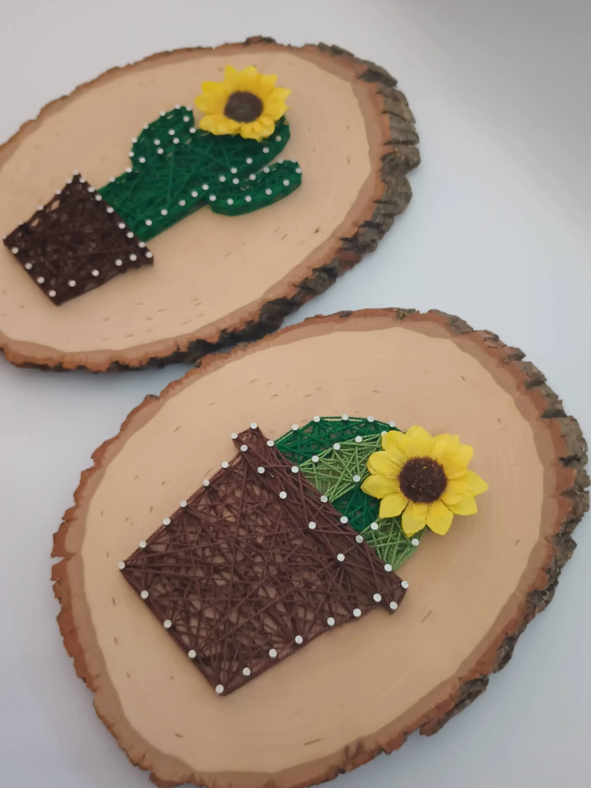 Saguaro Cactus, Barrel Cactus, and/or Aloe String Art Desert Wall Decor. Available as a Cactus String Art Trio or Individual Art