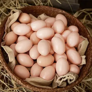 Easter Artificial Plastic Fake Eggs, Realistic Nest Eggs, Durable DIY Eggs, Encourage Laying & Prevent Pecking, Decorative Eggs