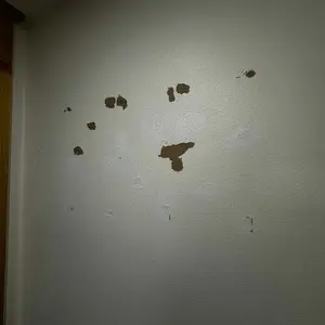 review image 2