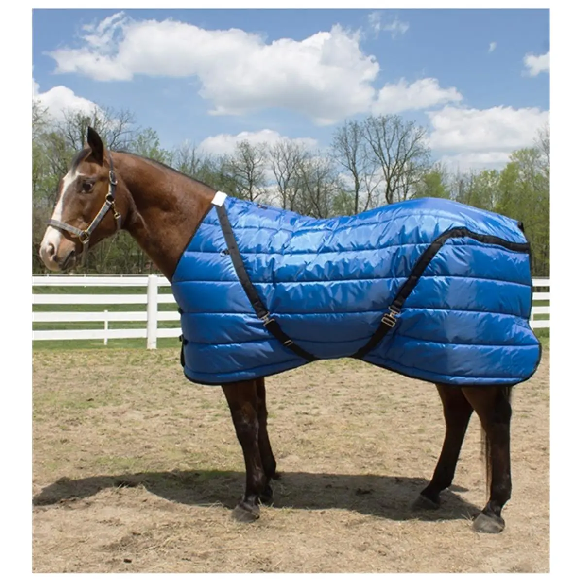 Jacks 70" Quilted Horse Blanket, 300g Midweight Fill, Polyester Shell with Cotton Lining, Standard Neck Equestrian Blanket, Blue & Gray, Quilted Blanket