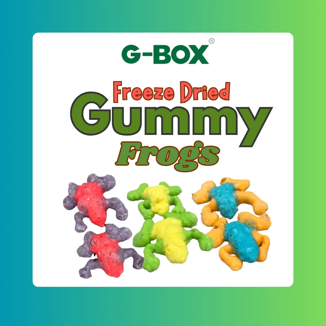 G-BOX Freeze Dried Gummy Frog Crunchy Frog Bites in Air Tight Container 3 Frogs freeze-dried candy