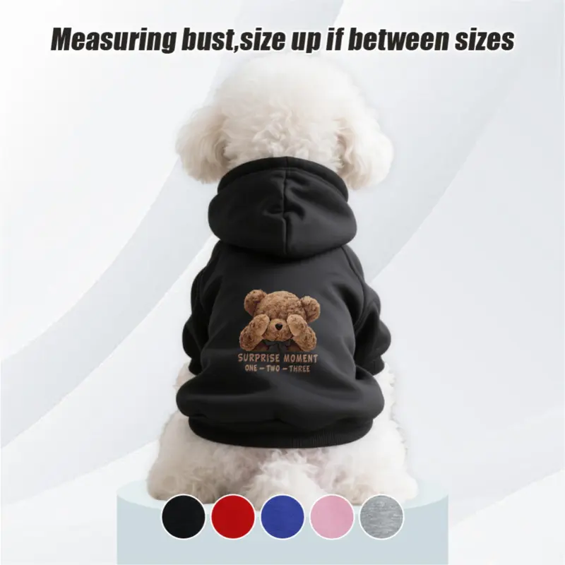 clairo dog hoodie - TikTok Shop