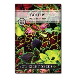Coleus Rainbow Mix Seeds for Planting - Beautiful Flowers to Plant in a Home Garden - Indoors or Outdoors - Non-GMO Heirloom Seeds - Attractive & Colorful - Great Gardening Gift (1)