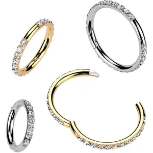 16 Gauge Implant Grade Titanium Forward CZ Double Sided Hoop Segment Ring