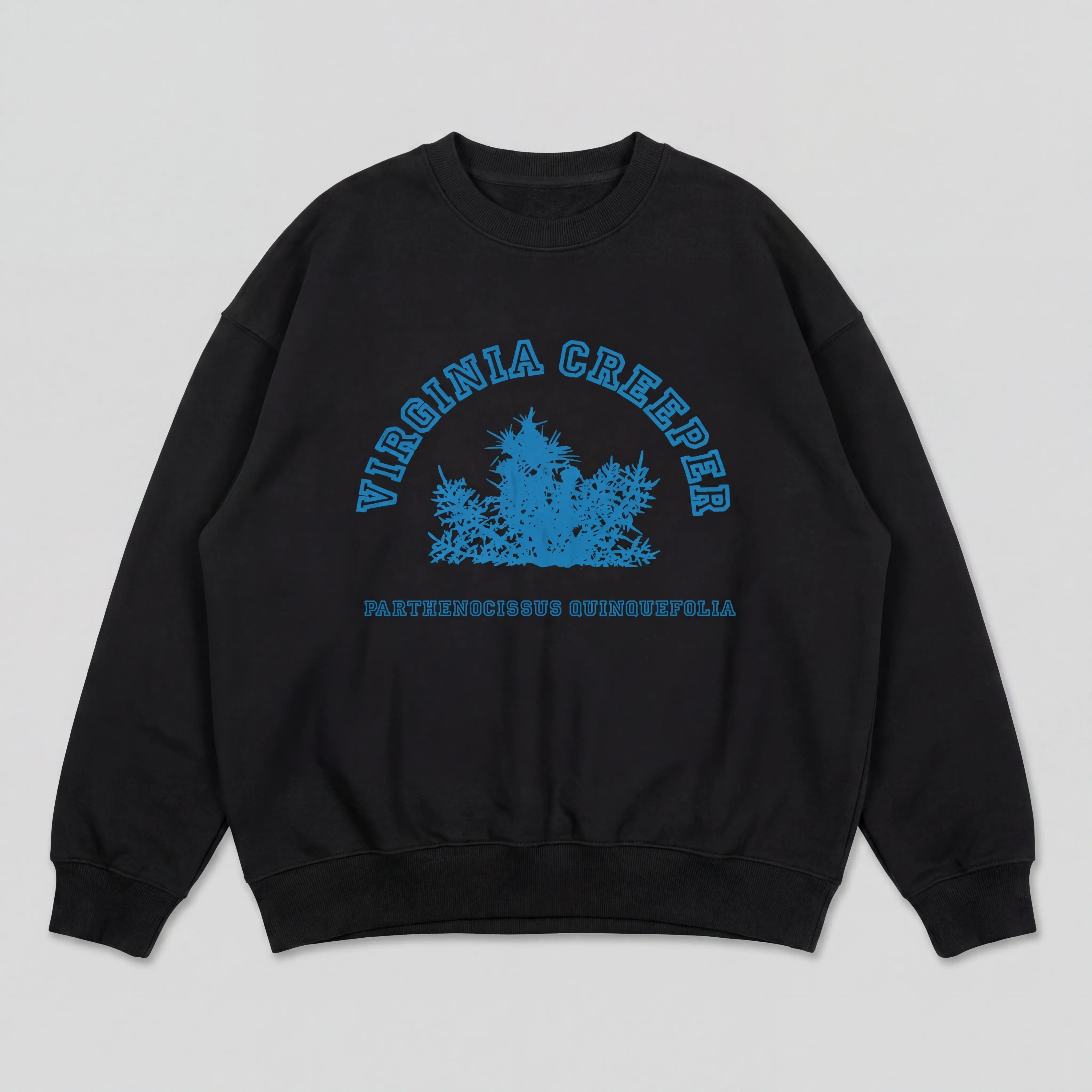 Raf Virginia Creeper Crewneck, Vintage Pullover Sweatshirt, Retro Streetwear Sweater, Unisex Casual Gift Apparel