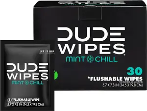 DUDE Wipes - On-The-Go Flushable Wipes - 1 Pack, 30 Wipes - Mint Chill Extra-Large Wrapped Adult Wet Wipes - Septic and Sewer Safe - Scary, Toilet