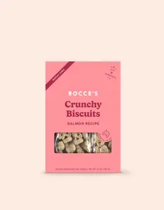 Salmon Biscuits