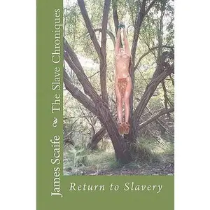 USED-The Slave Chroniques: Return To Slavery by Scaife, James (Paperback)