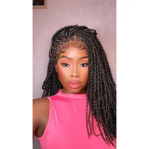 JALIZA - 14" Micro Passion Twist Full Lace Braided Wig Lace Front Wigs Lace Braiding Wig