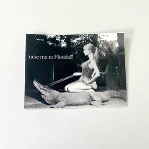 Swift Florida sticker