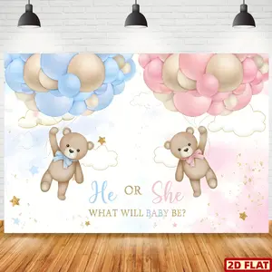 2D Flat Banner, 1pc Gender Reveal Party Backdrop for Youngsters - He or She? Boy or Girl? Welcome Youngsters Shower Banner with Adorable Teddy Bear, Balloons & Flowers - Vinyl Photography Background, Gender Re Party Decorations Banners