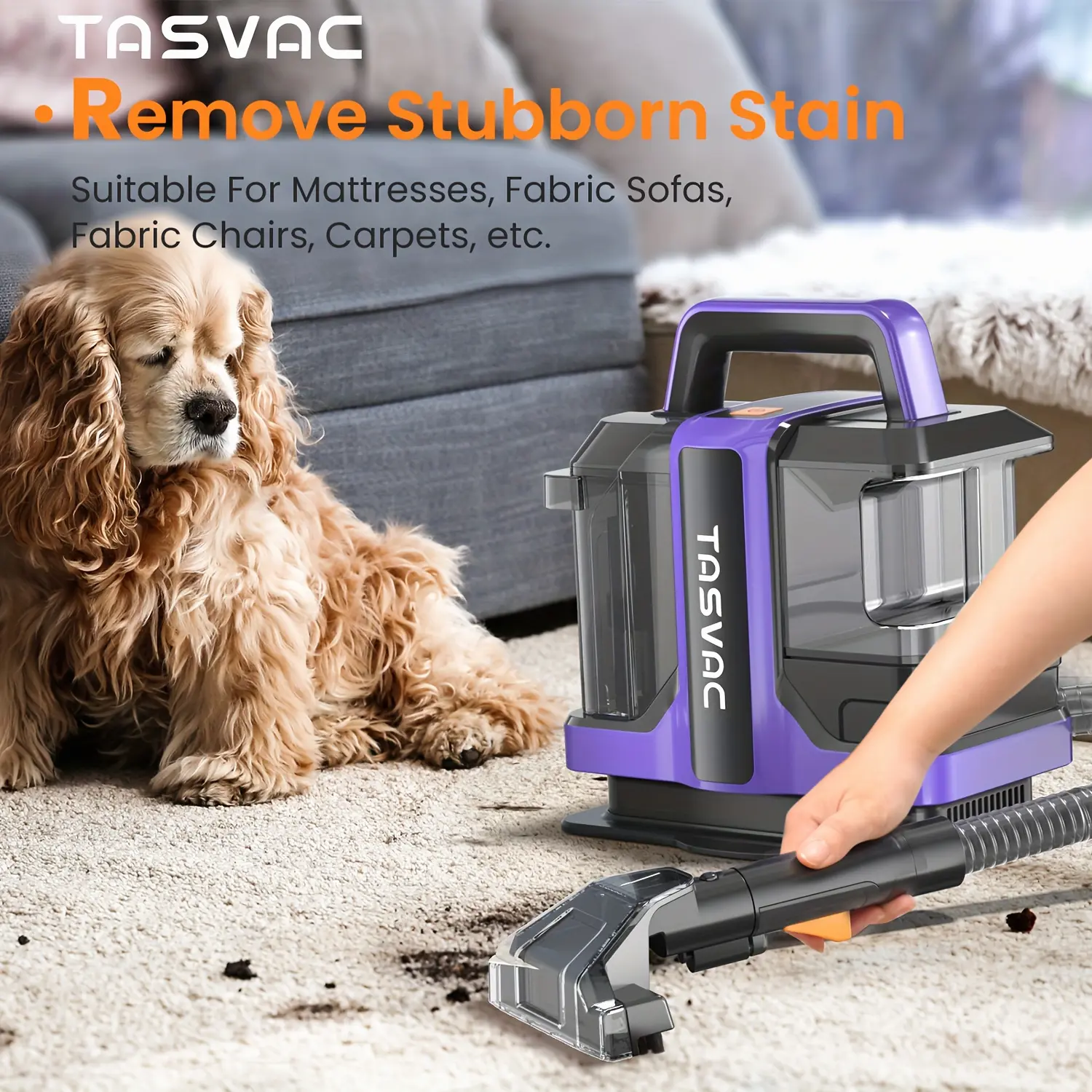 2026New Carpet Cleaner Machine, 40KPa, Portable Carpet And Upholstery Cleaner With Two Brushes And Remover Formula Spot, Power Suction, Equipped With Multifunctional Tools, Stain Deep Cleaner For Pets, Stairs, Sofa Carpets, Upholstery, Car Seats