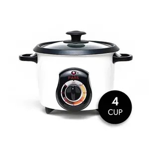 Pars Automatic Persian Rice Cooker - Tahdig Rice Maker Perfect Rice Crust, 4 Cup