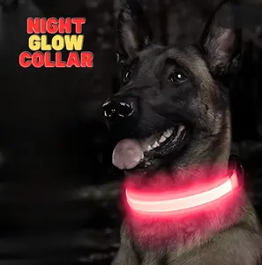 LED Dog Collar – Keep Your Dog Safe and Visible on Night Walks