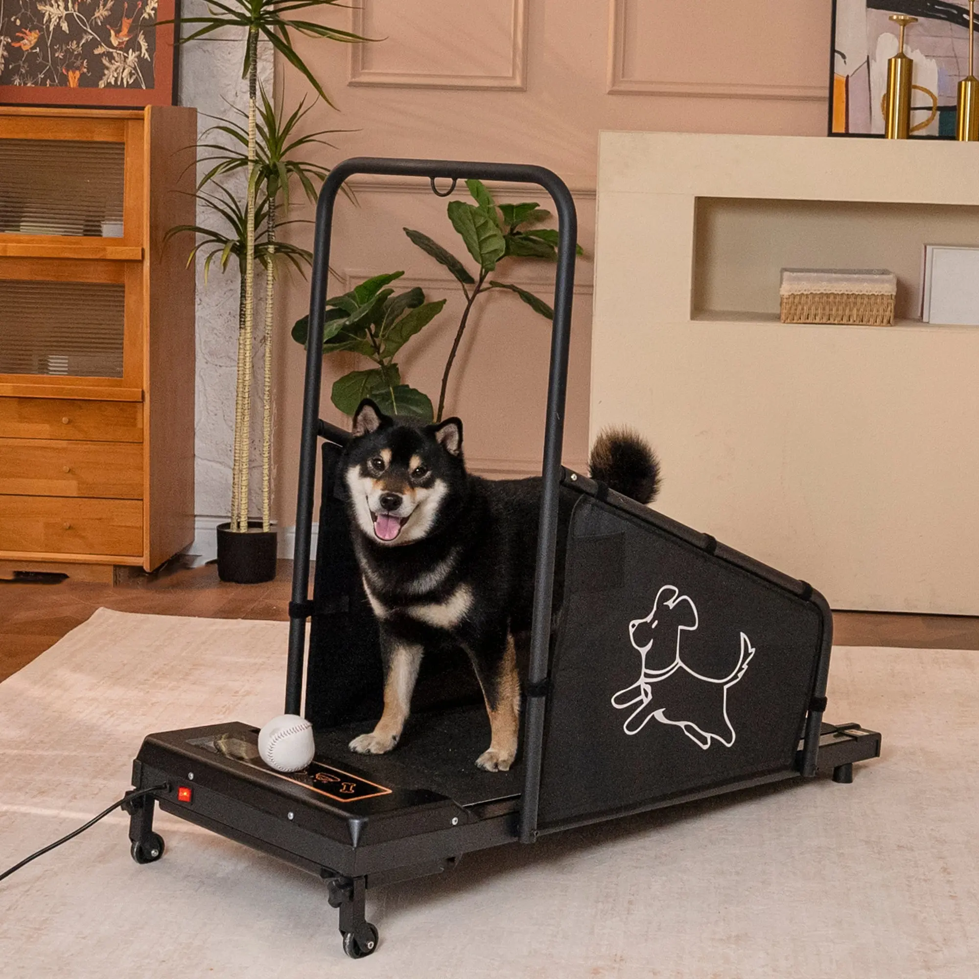 The AeroRun™ Dog Pacer Treadmill for Medium Dogs