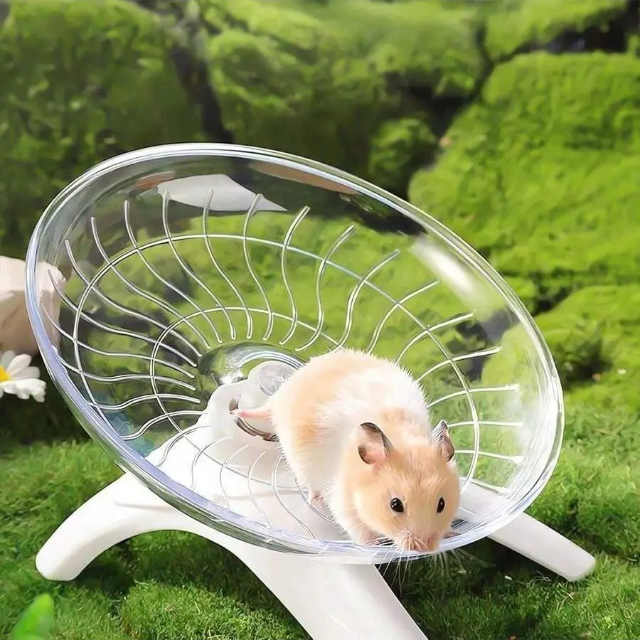 Quiet Exercise Wheel for Small Pets Like Hamsters, Mice, Hedgehogs, Parrots, Durable Pet Toy, Fun Indoor Activity Center, Hamster Running Wheel DIY Metal Cat Playpen with Skylight Multi-Level Wooden Rabbit Hutch Run Large Silent