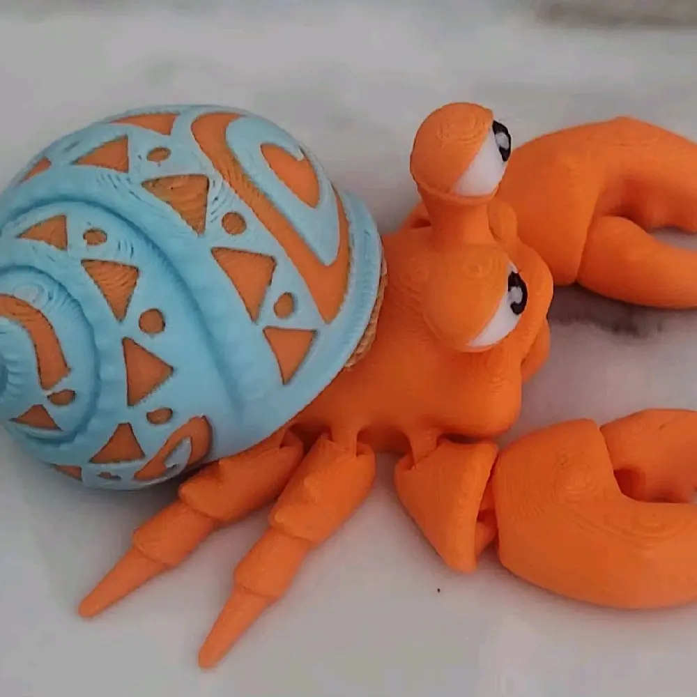 hermit crab boy/girl