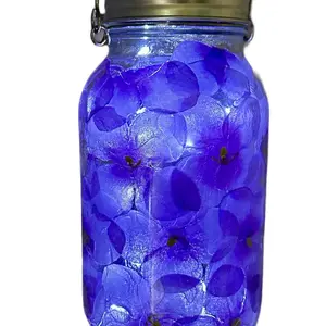 Mason Jar Solar Fairy Light Lantern Purple Hydrangeas Quart size