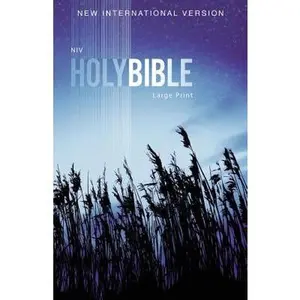Outreach Bible-NIV by Zondervan