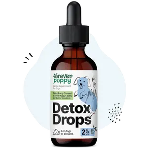 Detox Drops for Dogs - Dandelion Root & Dandelion Leaf Tincture for Liver and Kidney Support - Herbal Detox & Antioxidant Support Supplement for Dogs of All Breeds & Sizes - 2 fl oz