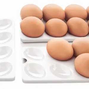 Egg trays Utensils