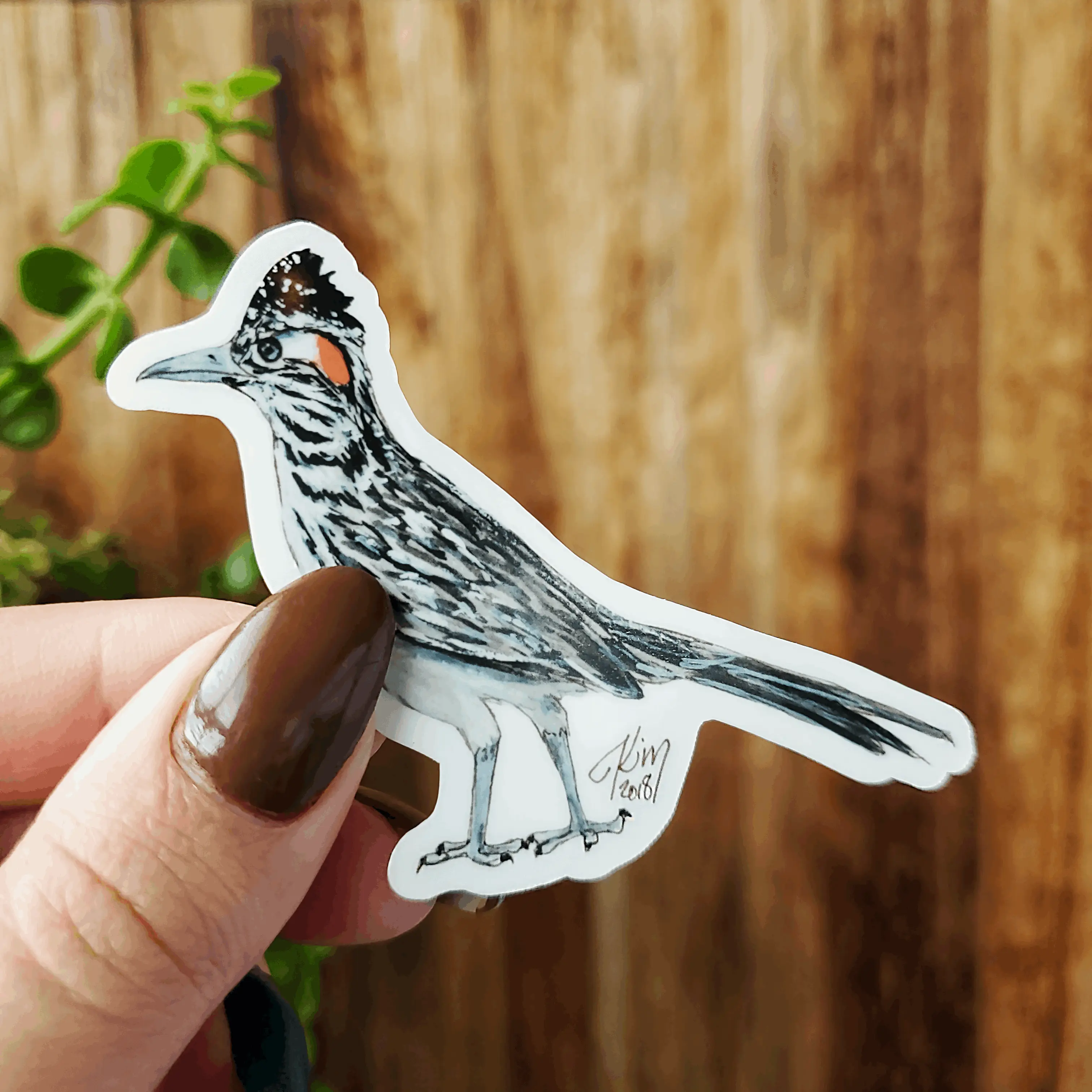 AZ Series Roadrunner Vinyl Sticker
